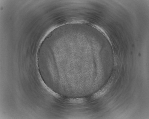 X0000066100851200604071820