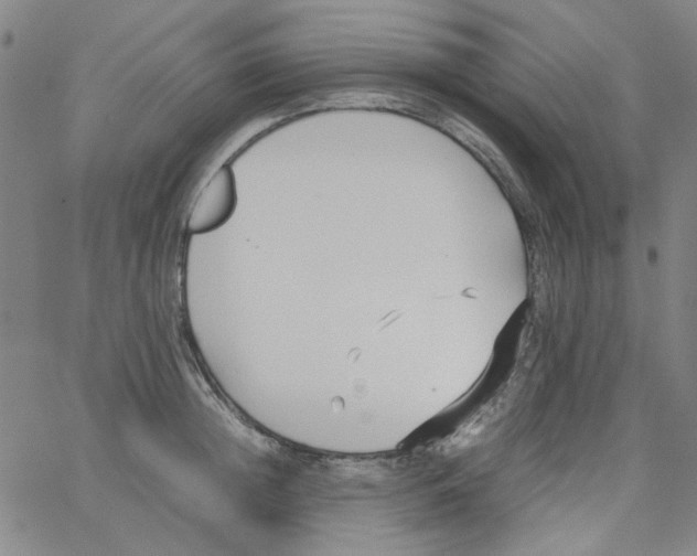 X0000066100852200604071820