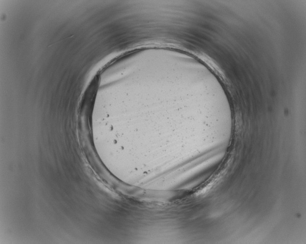 X0000066100854200604071820