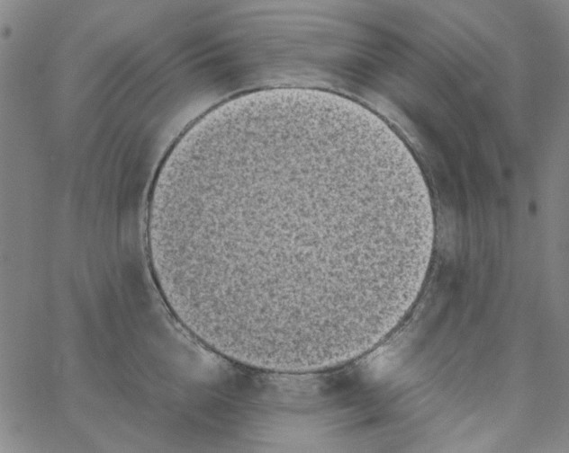 X0000066100856200604071820