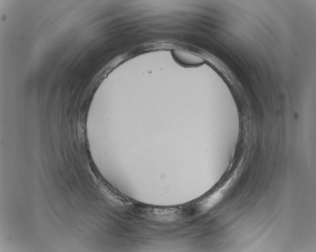 X0000066100857200604071820