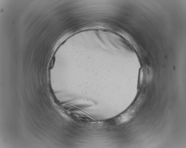 X0000066100858200604071820