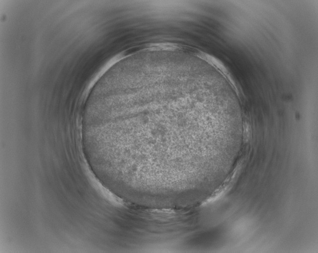 X0000066100859200604071820