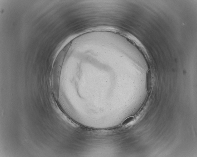 X0000066100860200604071820