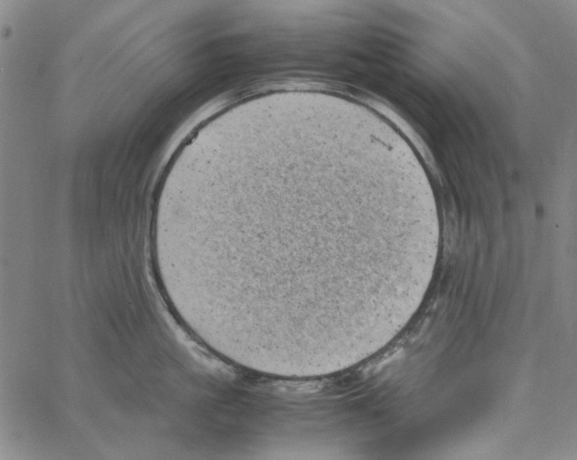 X0000066100861200604071820