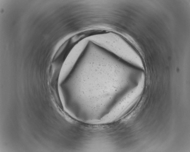 X0000066100862200604071820