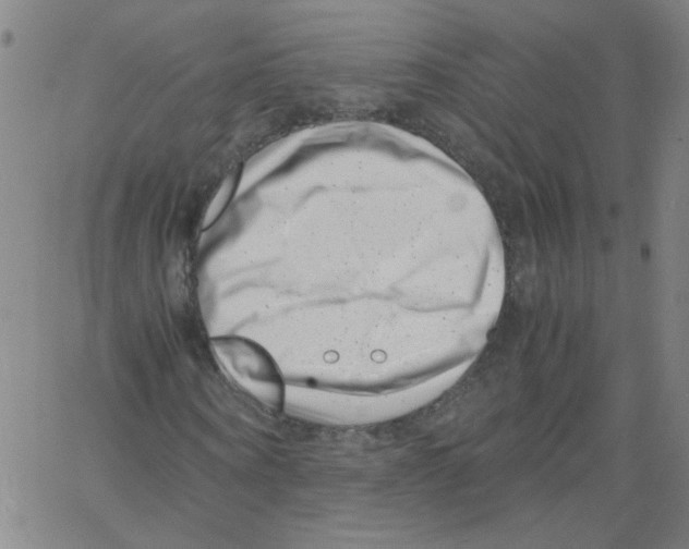 X0000066100866200604071820