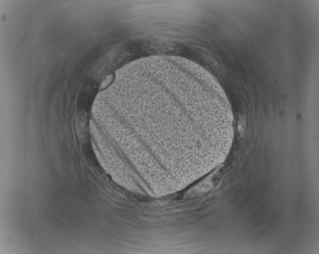 X0000066100867200604071820