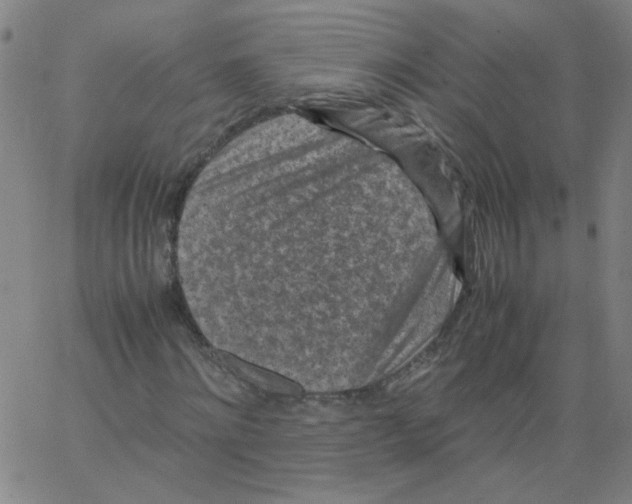 X0000066100868200604071820