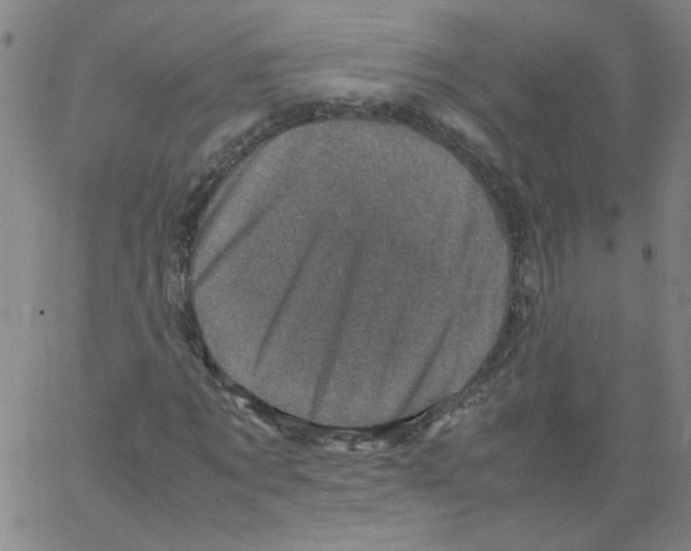 X0000066100869200604071820