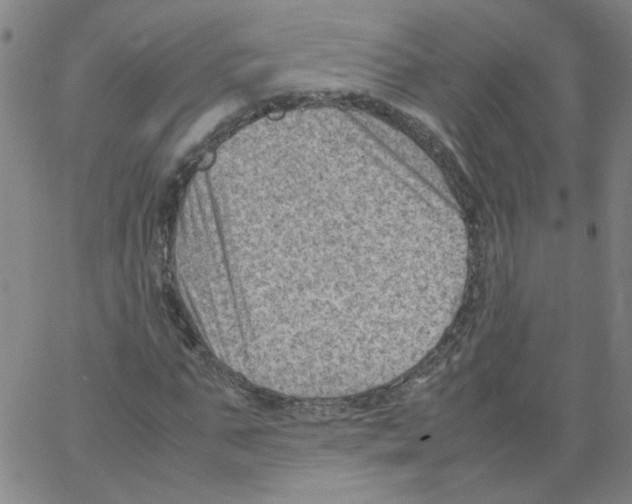 X0000066100871200604071820