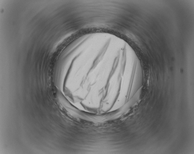 X0000066100872200604071820