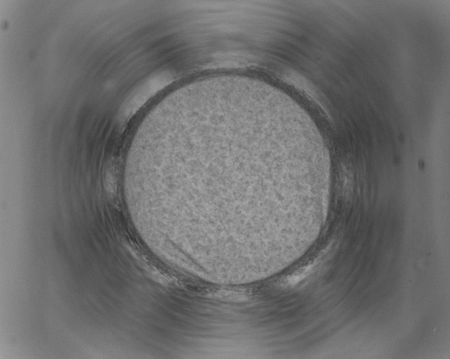 X0000066100874200604071820