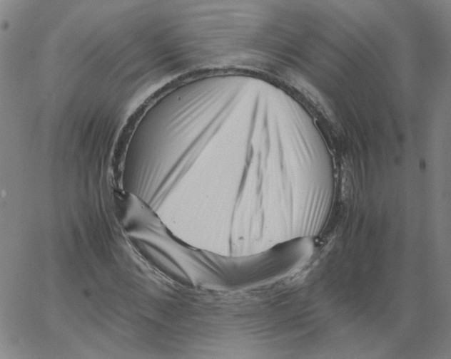 X0000066100876200604071820