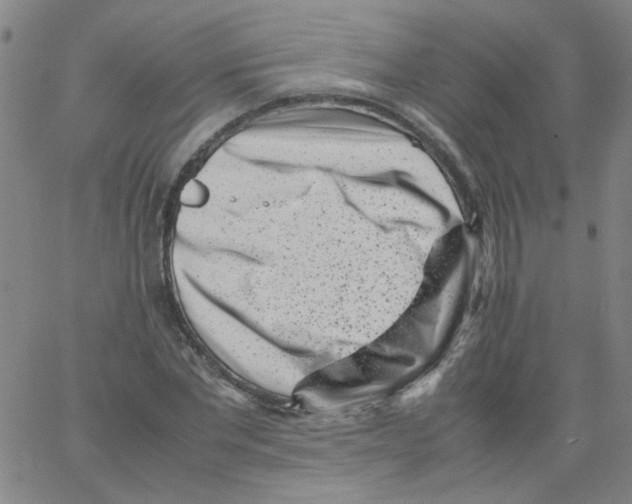 X0000066100877200604071820