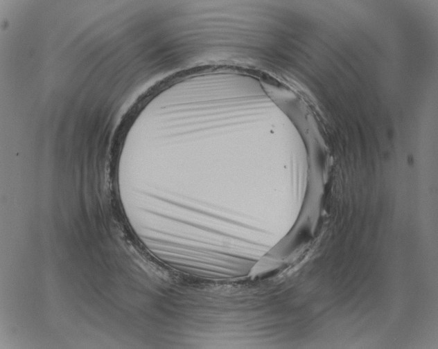 X0000066100880200604071819