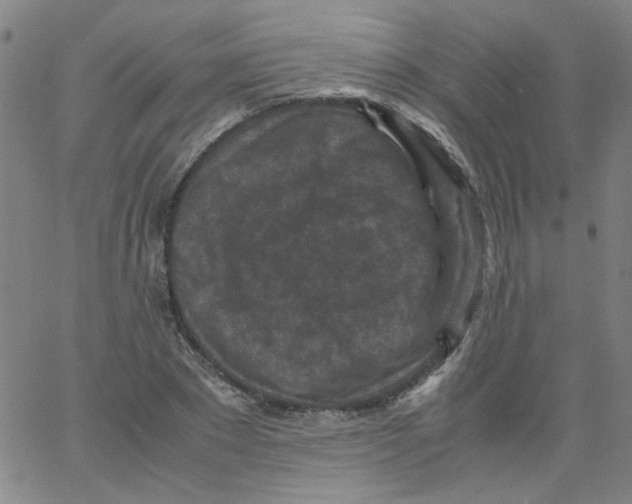 X0000066100881200604071819