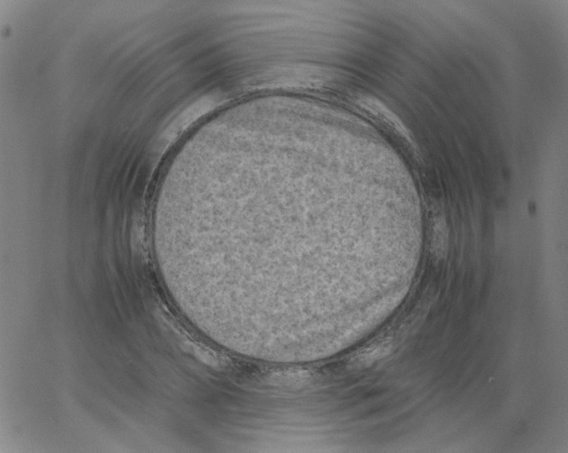 X0000066100882200604071819