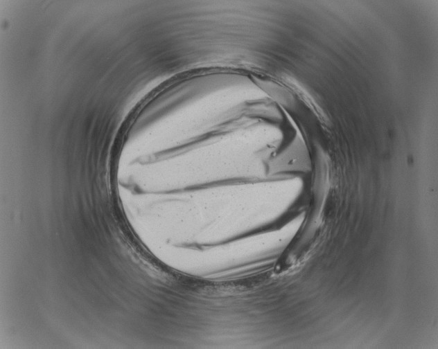 X0000066100884200604071819