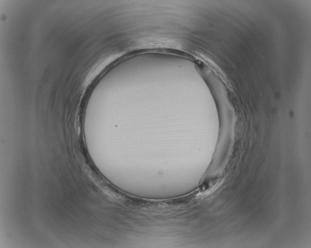 X0000066100885200604071819