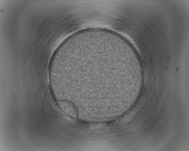 X0000066100887200604071819