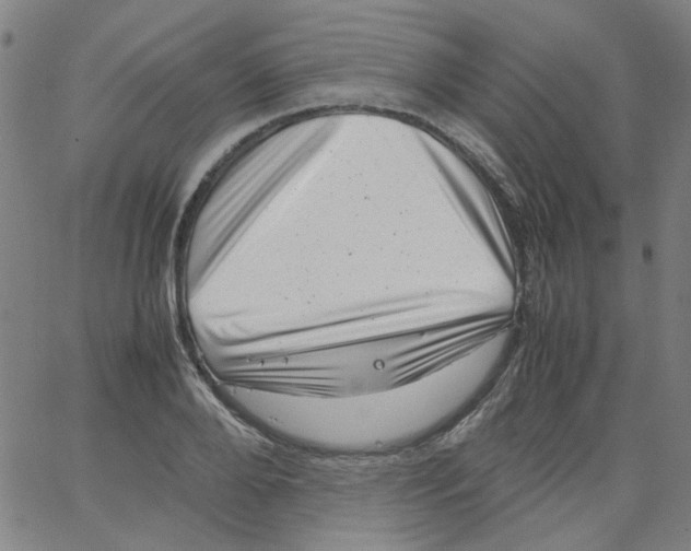 X0000066100888200604071819