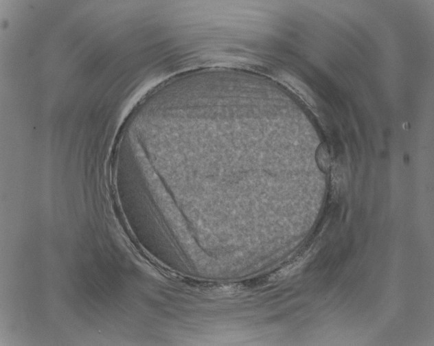 X0000066100891200604071819