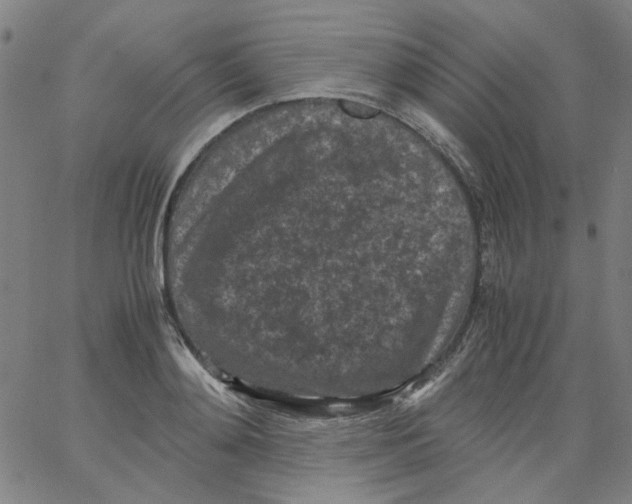 X0000066100892200604071819