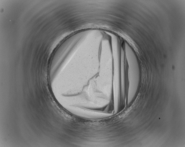 X0000066100896200604071819