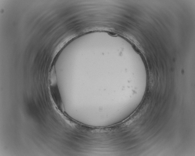 X0000066100898200604071819