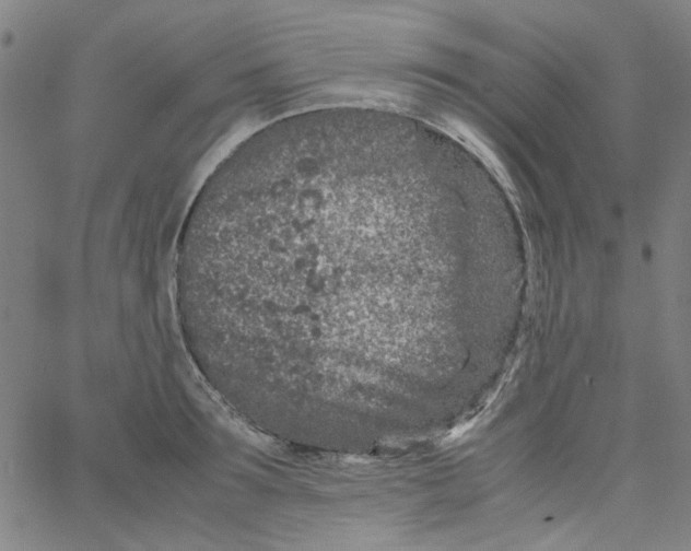 X0000066100899200604071819