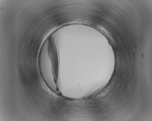 X0000066100900200604071819