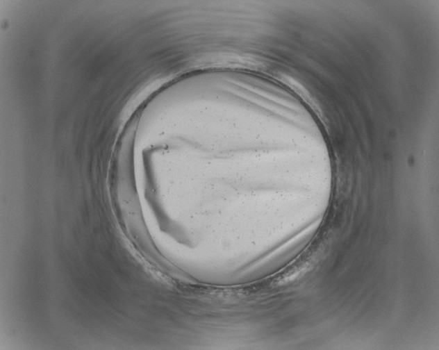 X0000066100901200604071819