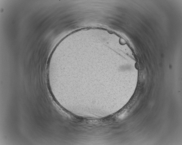 X0000066100903200604071819