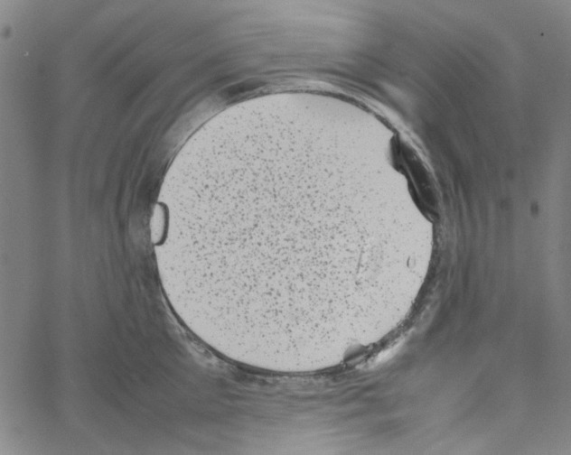 X0000066100905200604071819