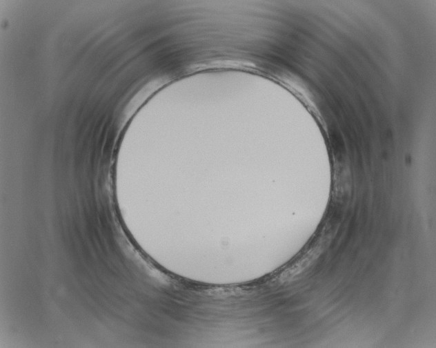 X0000066100906200604071819