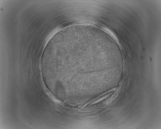 X0000066100907200604071819