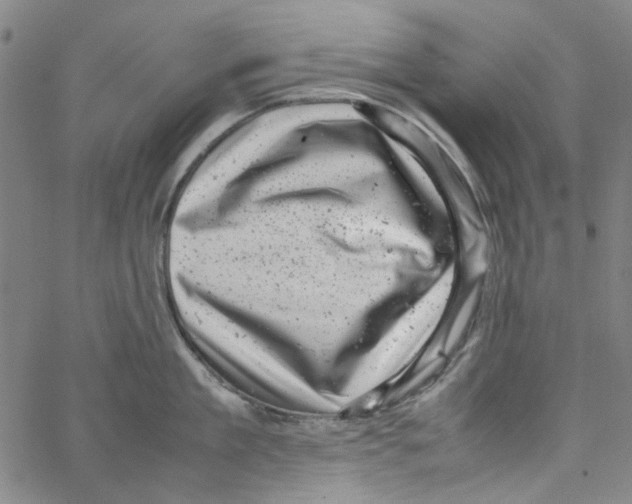 X0000066100909200604071819