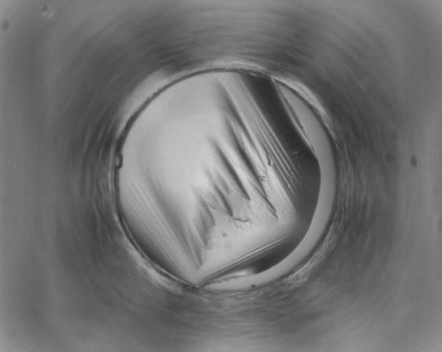 X0000066100910200604071819