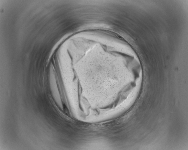 X0000066100912200604071819