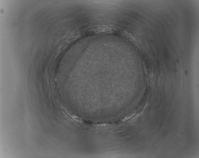 X0000066100913200604071818