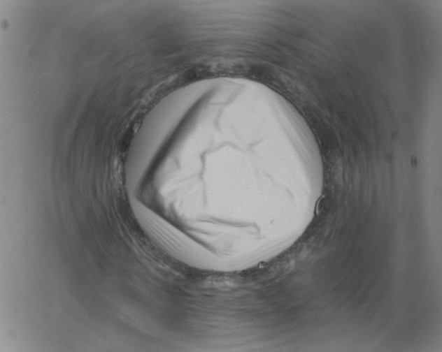 X0000066100914200604071818