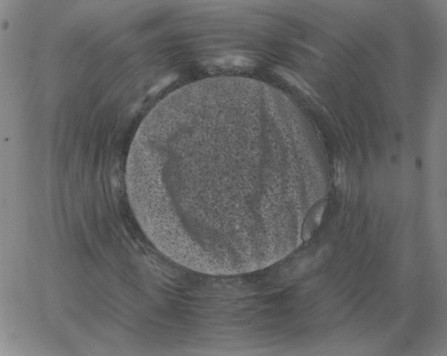 X0000066100915200604071818