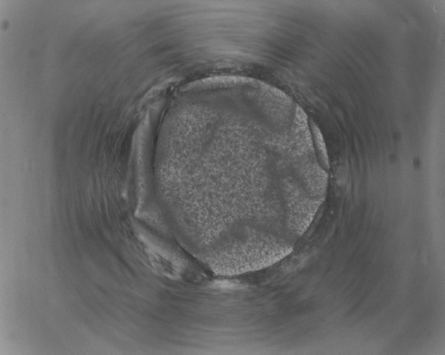 X0000066100916200604071818