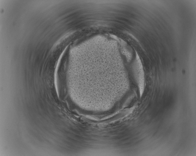 X0000066100919200604071818