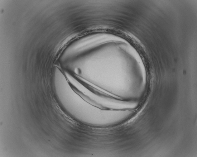 X0000066100921200604071818