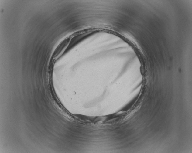 X0000066100924200604071818