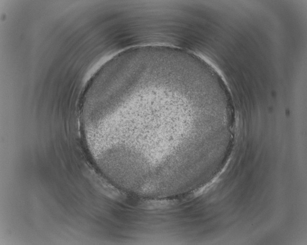 X0000066100925200604071818