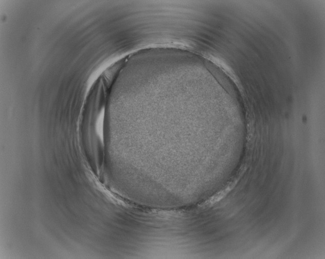 X0000066100928200604071818