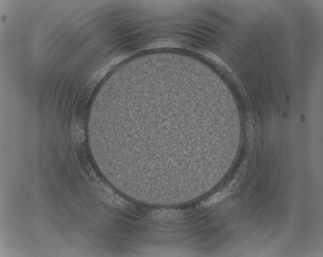 X0000066100929200604071818